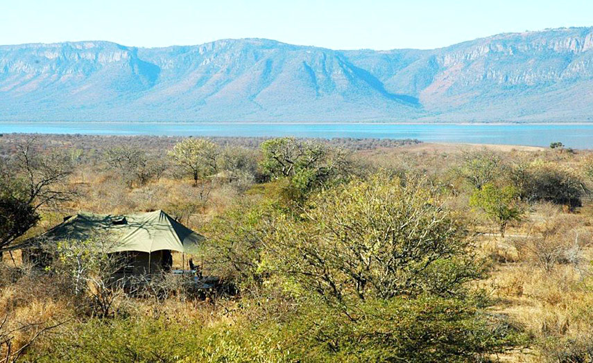 White Elephant Safari Lodge